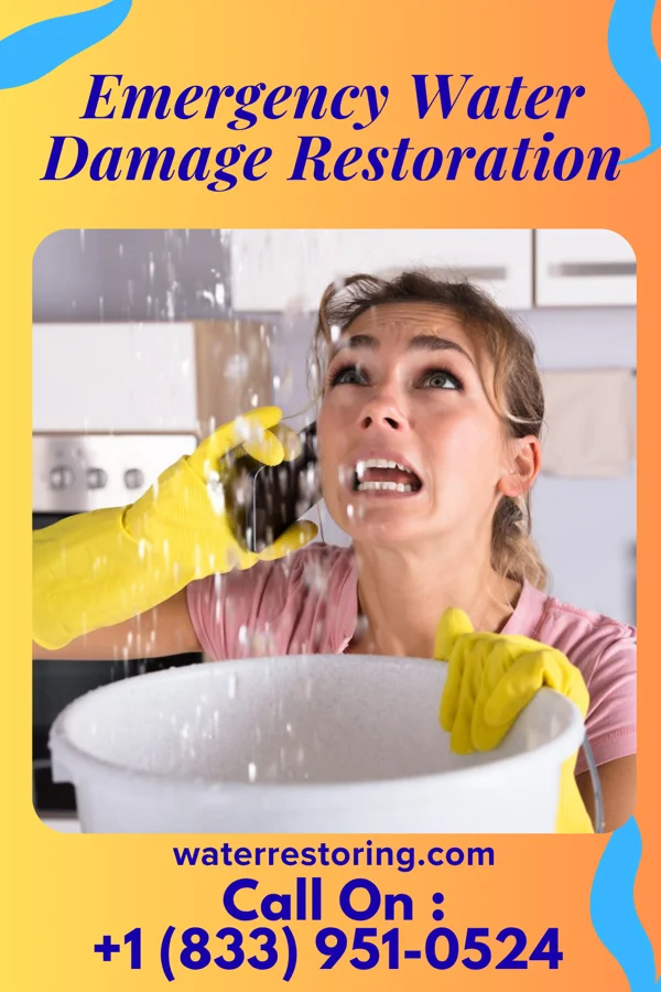 Emergency Water Damage Restoration in Turtle River, MN