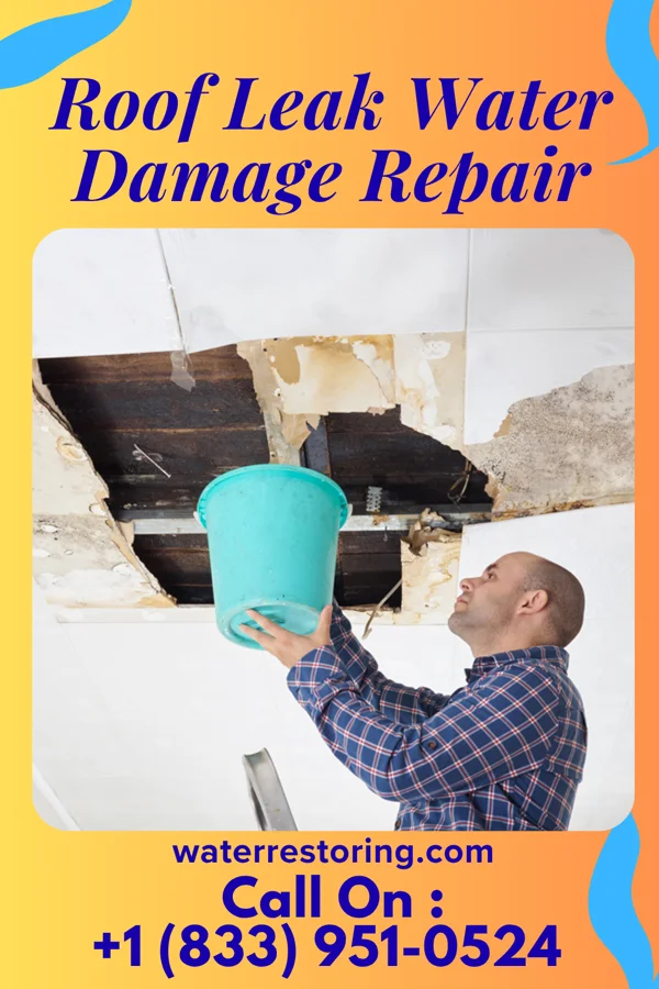 Roof Leak Water Damage Repair in Turtle River, MN